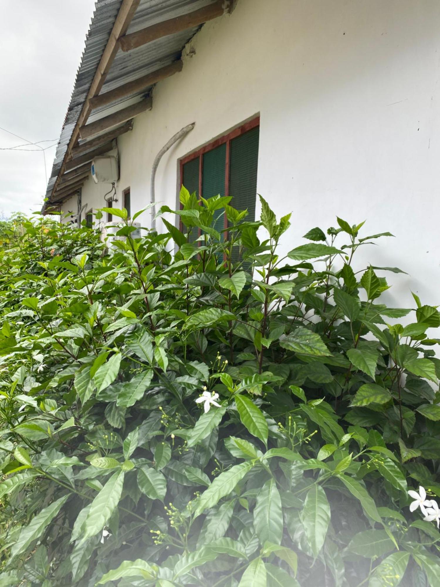 Falcon House Kendwa Bed and Breakfast Esterno foto